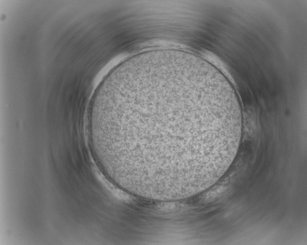 X0000067911098200605111936