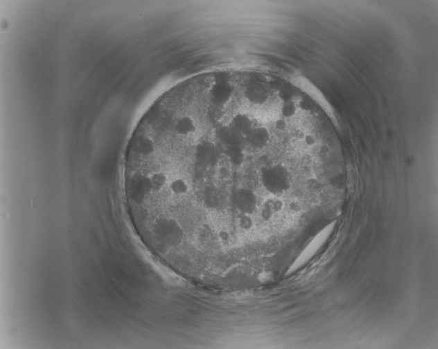 X0000067911099200605111936