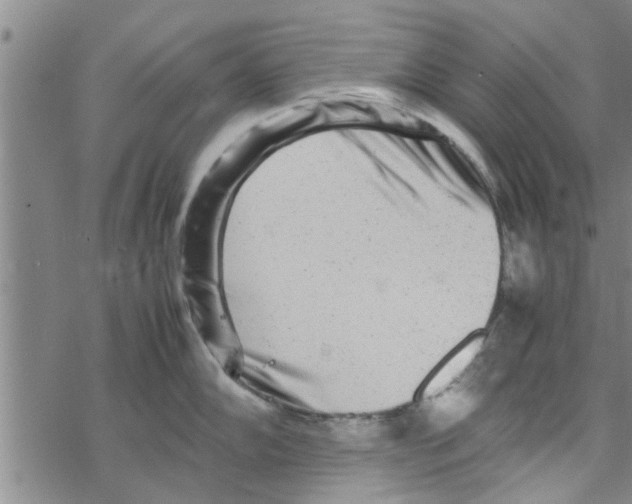 X0000067911102200605111936