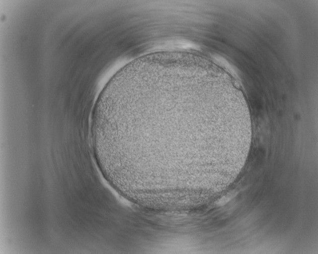 X0000067911103200605111936