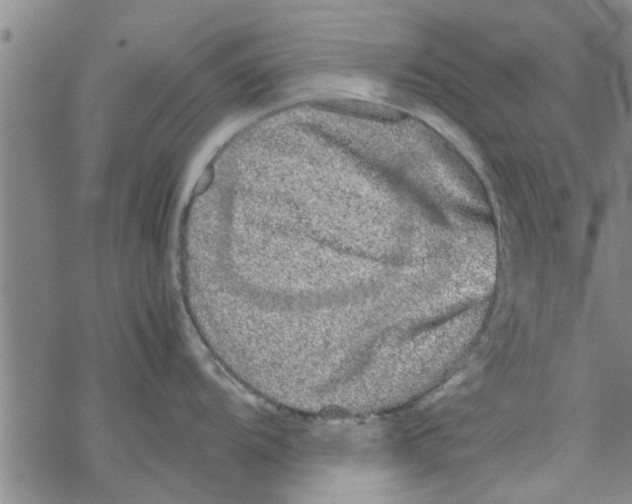 X0000067911104200605111936