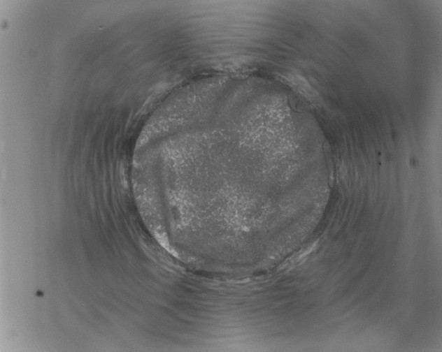 X0000067911106200605111935