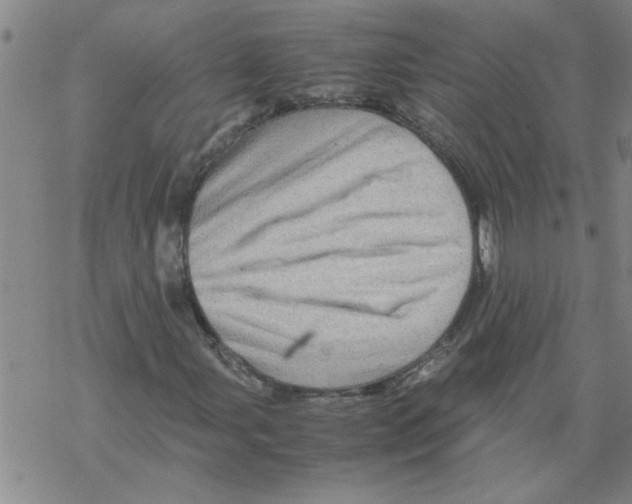 X0000067911107200605111935