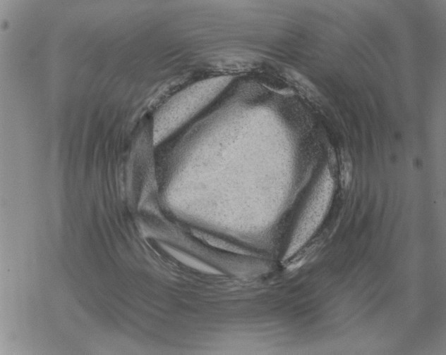 X0000067911108200605111935