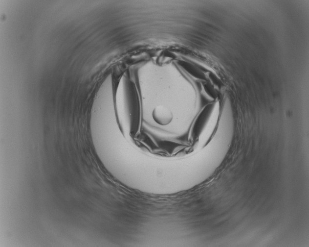 X0000067911110200605111935