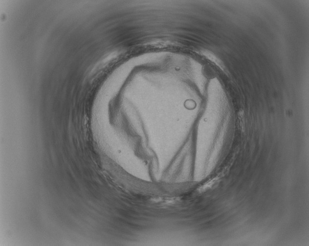 X0000067911111200605111935