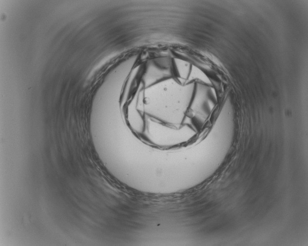 X0000067911112200605111935