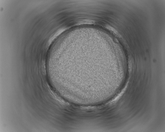 X0000067911113200605111936