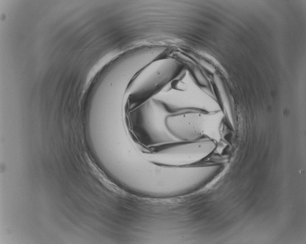 X0000067911114200605111936