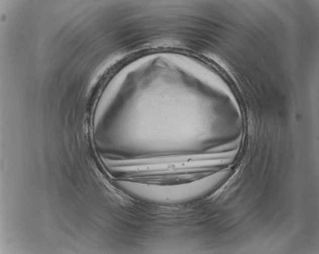 X0000067911115200605111936