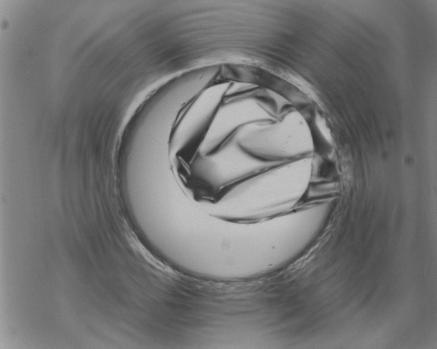 X0000067911116200605111936