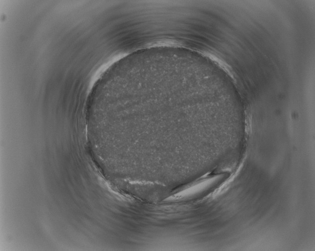 X0000067911117200605111936