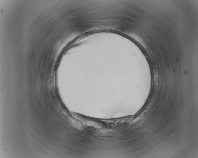 X0000067911119200605111936