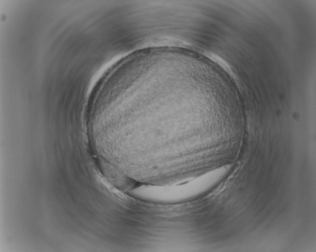 X0000067911120200605111936