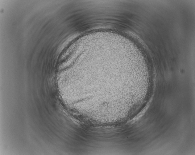 X0000067911121200605111936