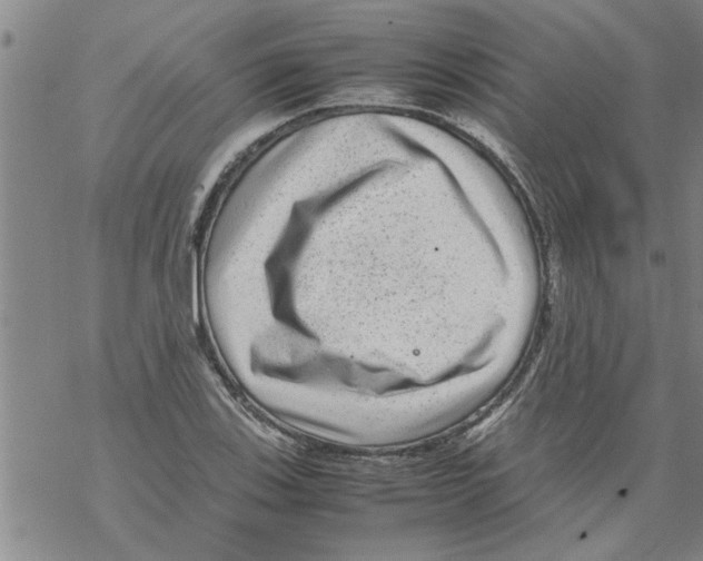 X0000067911123200605111936