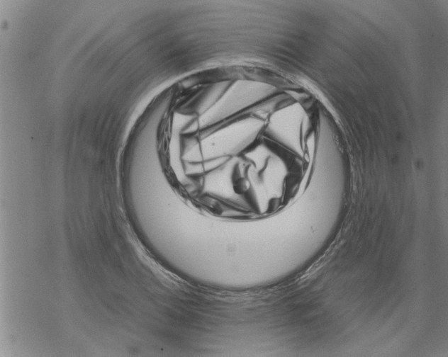 X0000067911124200605111936