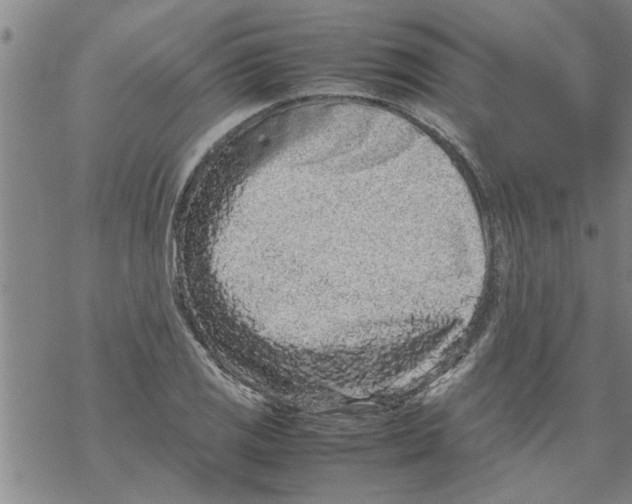 X0000067911125200605111936