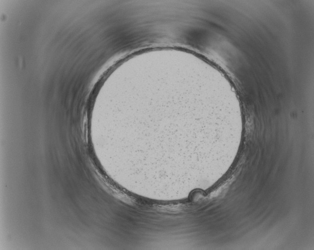 X0000067911126200605111936