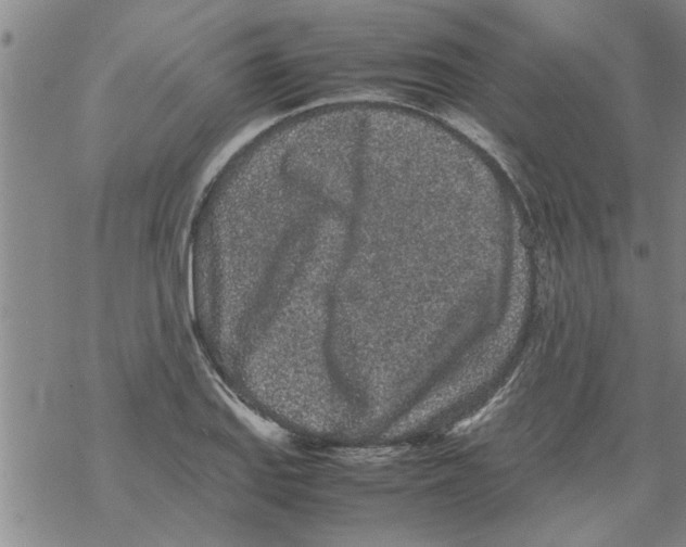 X0000067911127200605111936