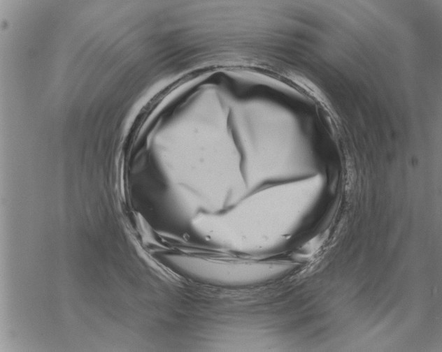 X0000067911128200605111936