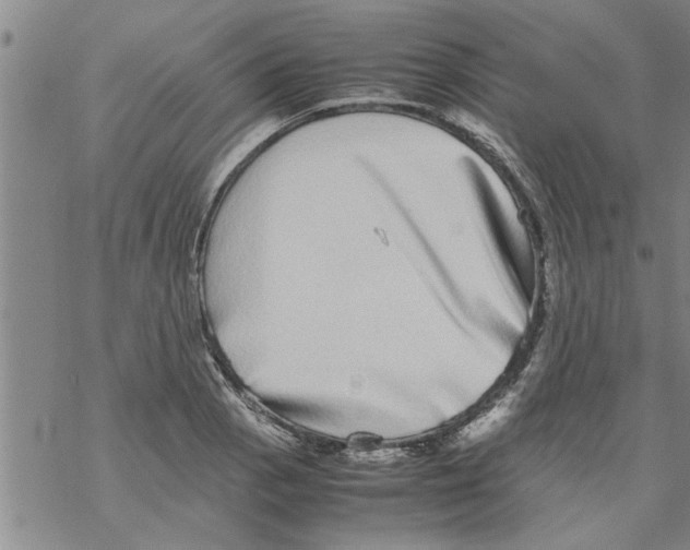 X0000067911129200605111936