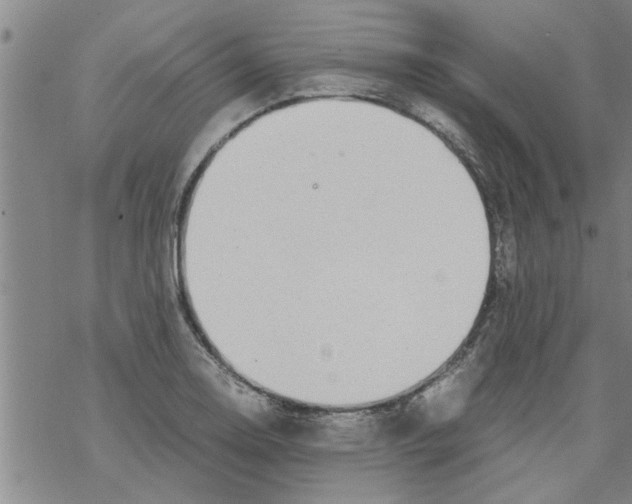 X0000067911130200605111936