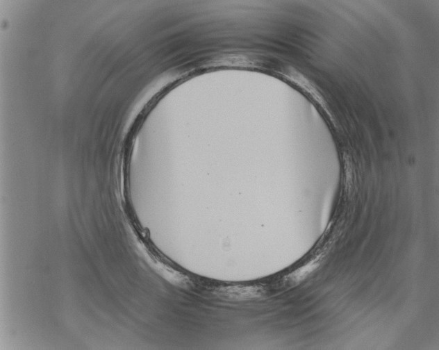 X0000067911131200605111936