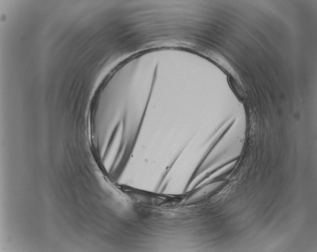 X0000067911132200605111936