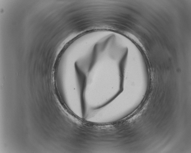 X0000067911133200605111936