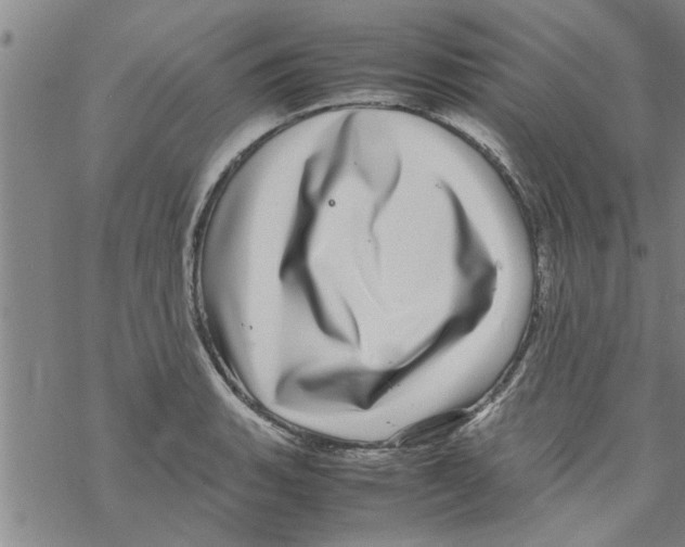 X0000067911135200605111936