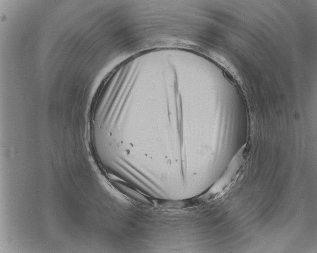 X0000067911136200605111936