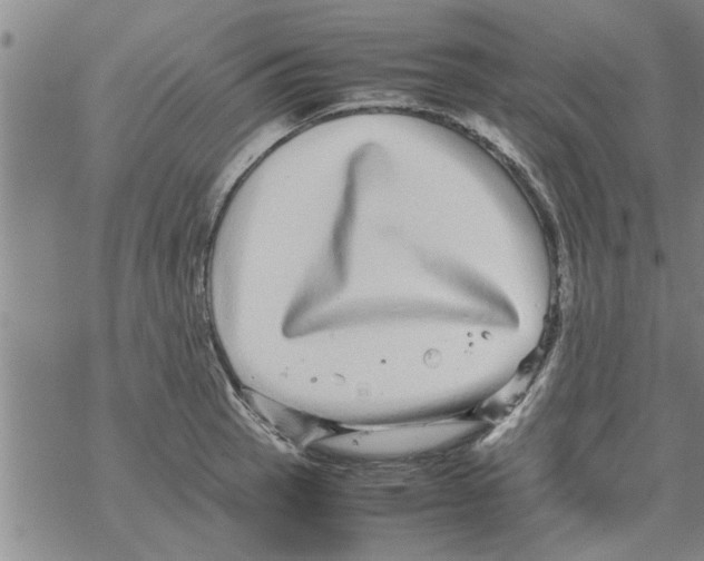 X0000067911137200605111936