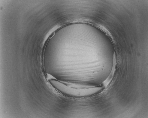 X0000067911138200605111936