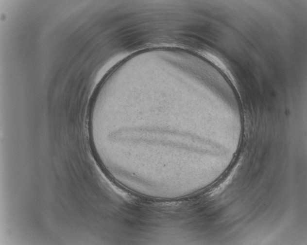 X0000067911141200605111936