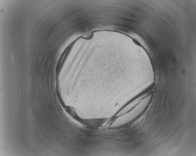 X0000067911143200605111936