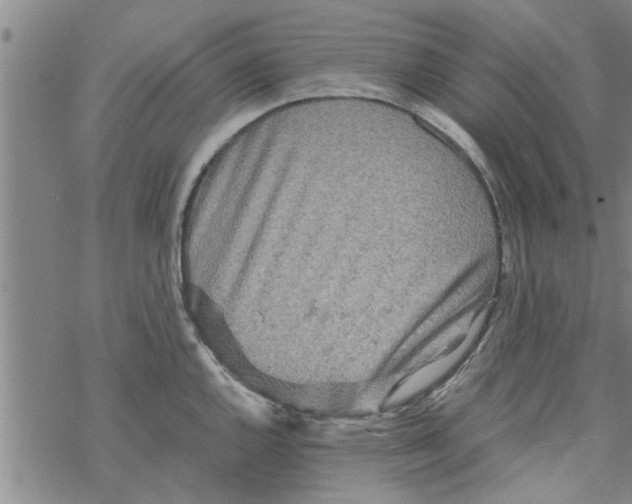 X0000067911144200605111936