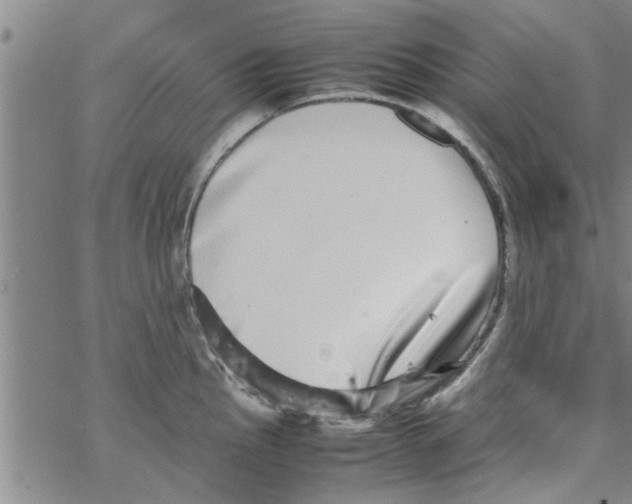 X0000067911145200605111936