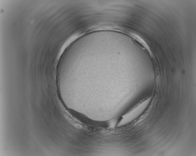 X0000067911146200605111936