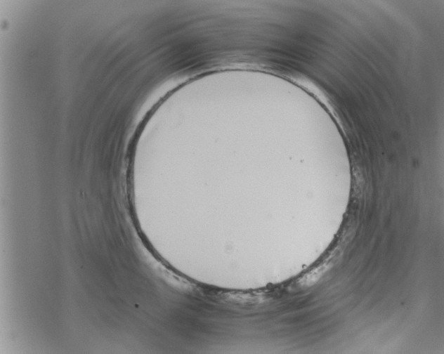 X0000067911147200605111936