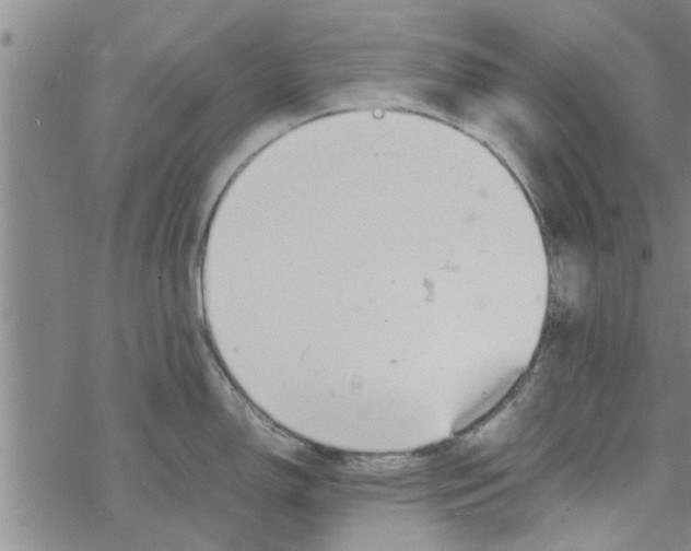 X0000067911150200605111936