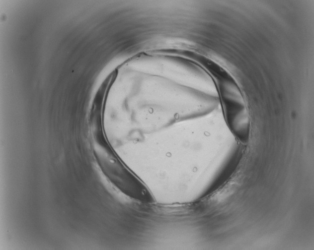 X0000067911152200605111936