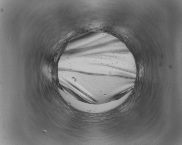 X0000067911156200605111935