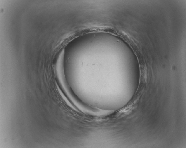 X0000067911157200605111935