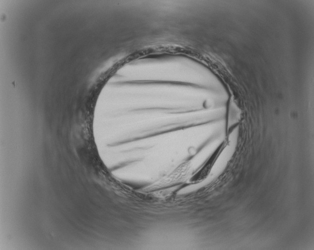 X0000067911159200605111935