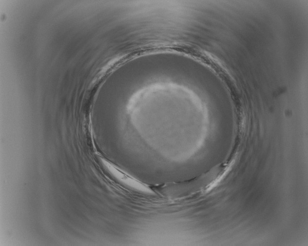 X0000067911161200605111935