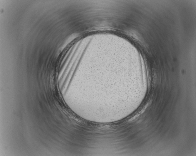 X0000067911162200605111935