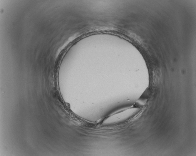 X0000067911165200605111935