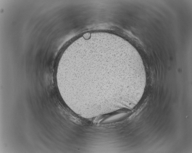 X0000067911166200605111935