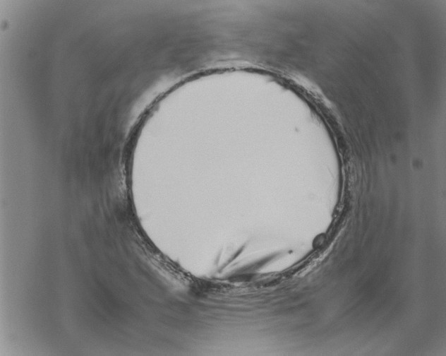 X0000067911167200605111935